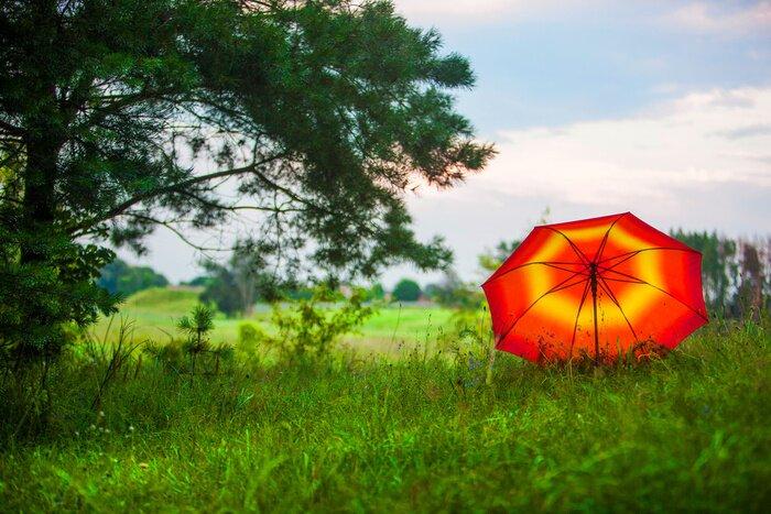 „parasol-dla-natury”-wylaczyl-juz-7-obszarow-w-kraju-ze-zwyklej-gospodarki-lesnej