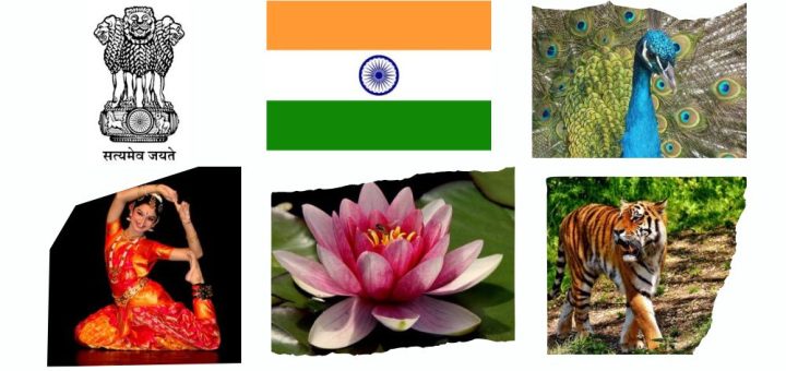 symbole-narodowe-indii