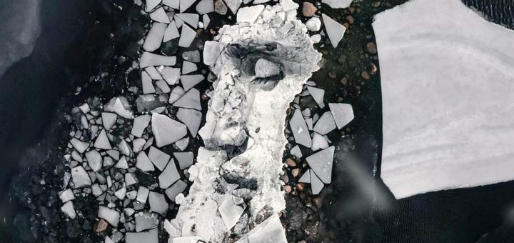 artysta-maluje-portrety-na-olbrzymich-blokach-lodu-plywajacych-po-baltyku-[wideo]